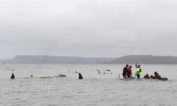 Современата технологија во заштита на китовите