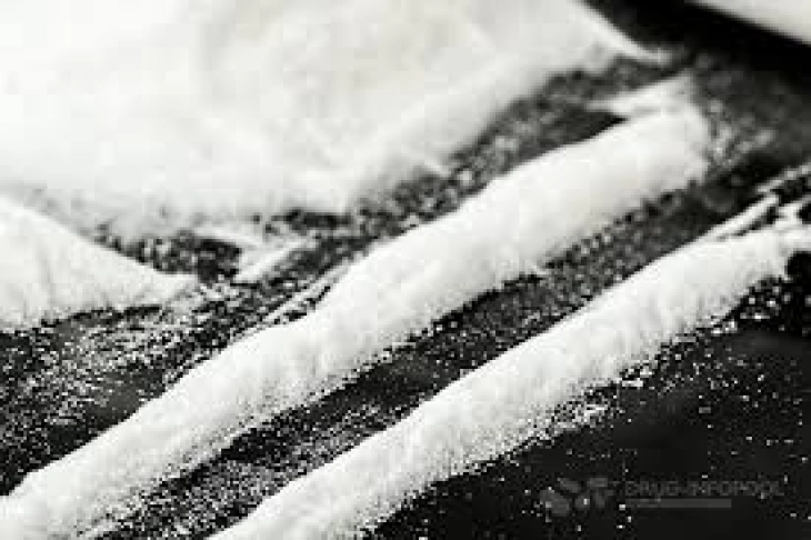 Во Белгија запленети шест тони кокаин од Суринам