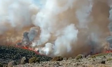 Стотици пожарникари се борат со пожар на планината Килиманџаро во Танзанија