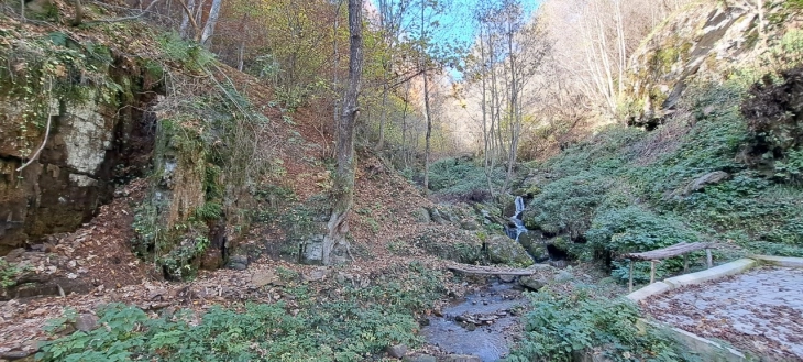 Нема кој да даде дозвола за сечење дрвна маса во приватни имоти во НП Шар Планина