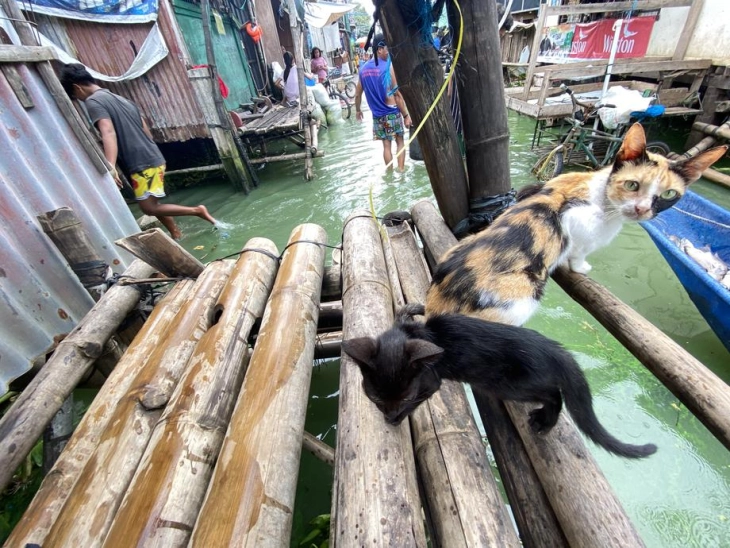 Најмалку 31 лице загина во поплавите и свлечиштата на Филипините