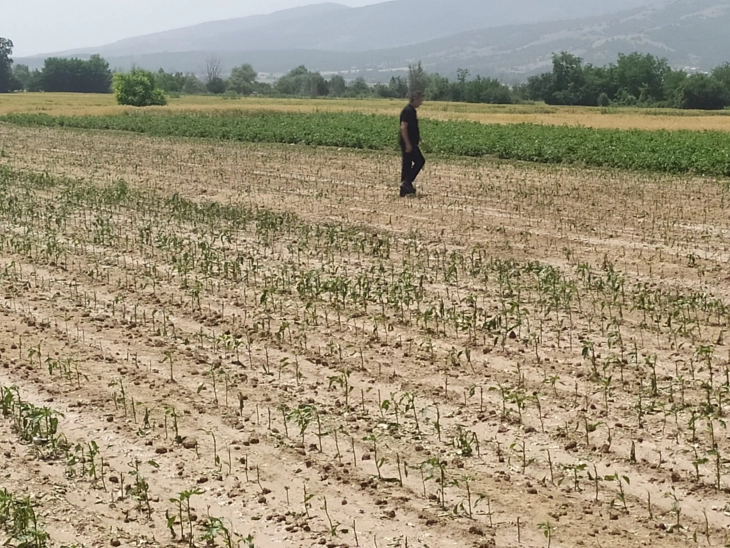 Консолидацијата на земјиштето еден од приоритетите на македонската аграрна политика