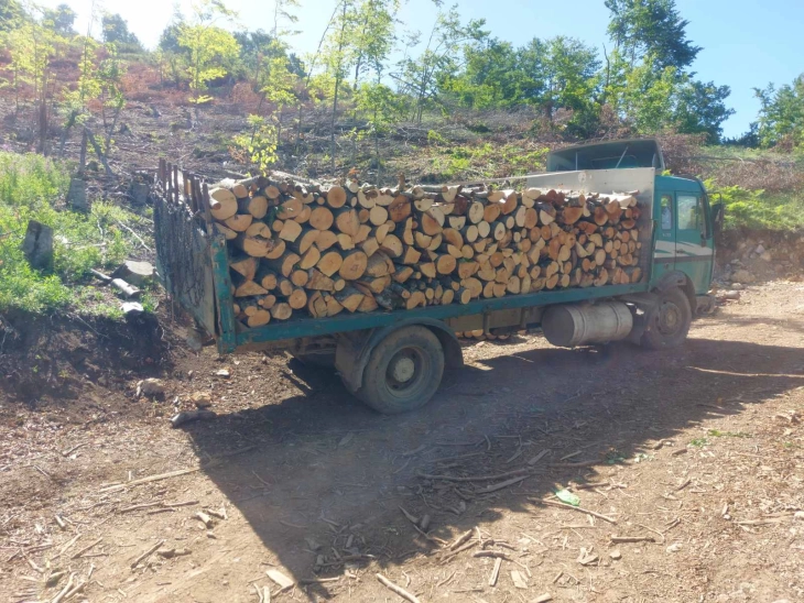 Приведени девет лица поради пустошење на шуми во атар на село Брест