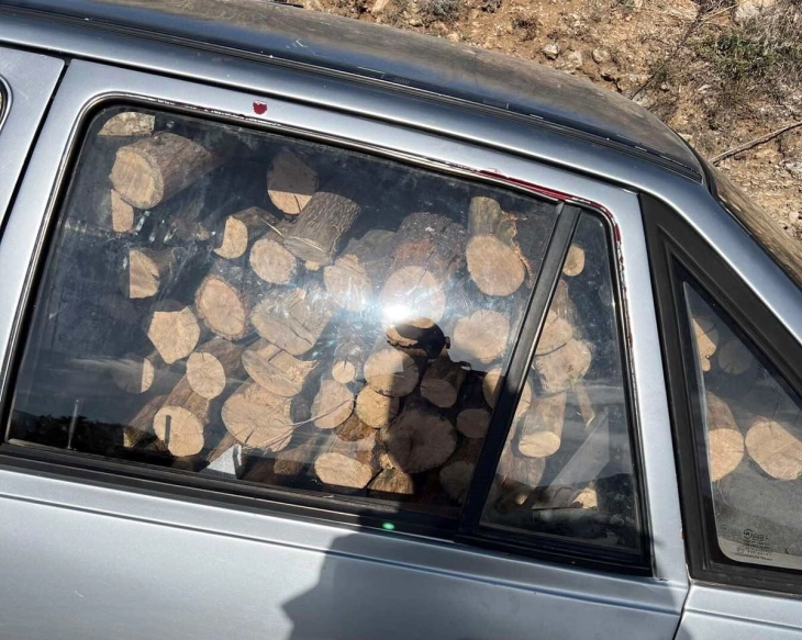Приведени петмина дрвокрадци во Прилеп