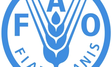 FAO parashikon se këtë vit importi i ushqimit do të arrijë 1,8 miliardë dollarë