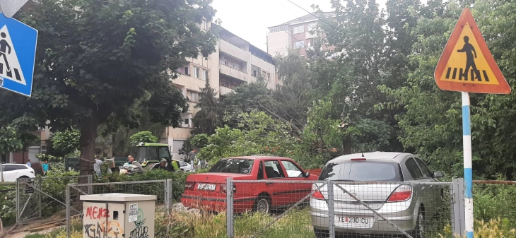 Nga era e fuqishme në Tetovë, një dru ka rënë mbi disa automobilë të parkuar