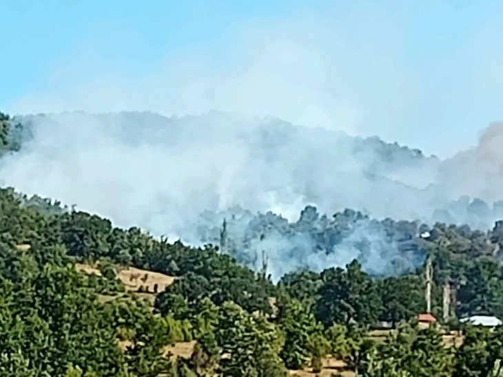 Zjarri në Pianec është vënë nën kontroll