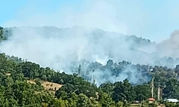 Zjarri në Pianec është vënë nën kontroll