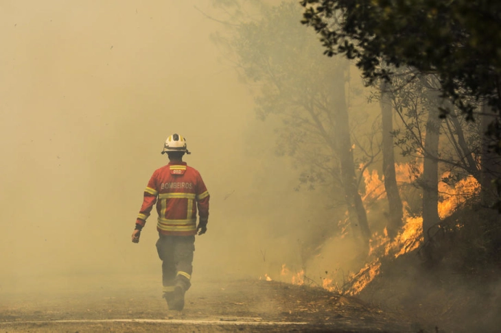 OBSH: Prej zjarreve pyjore humbën jetën 1.700 persona në Portugali dhe Spanjë