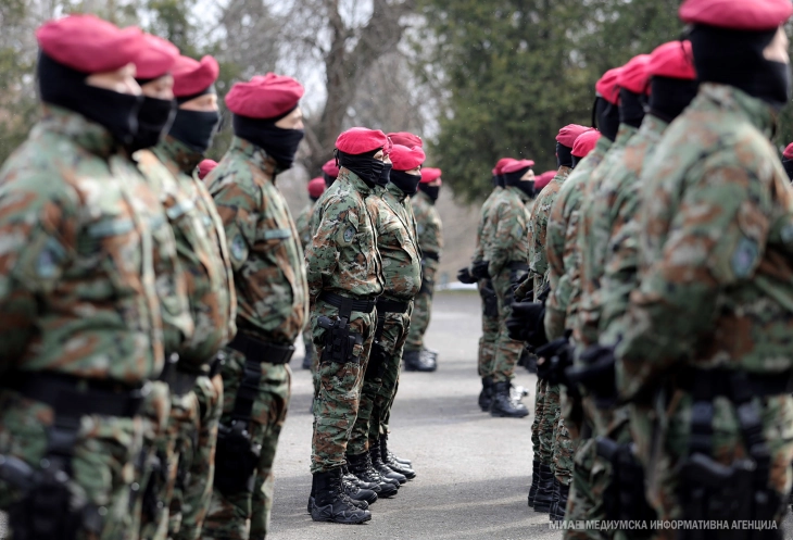 Qeveria mori vendim për dërgimin e pjesëtarëve të armatës në stërvitje në Gjermani