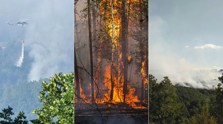 Një vit pas zjarreve të vitit të kaluar, kompetentët pohojnë se kanë marrë mësimin, ndërsa zjarri është “nën kontroll”
