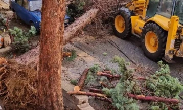 Një pjesë e Negotinës pa rrymë pas motit të keq, zhbllokohet rruga Dubrovë - Vojshanc, disa shtëpi mbetën pa çati