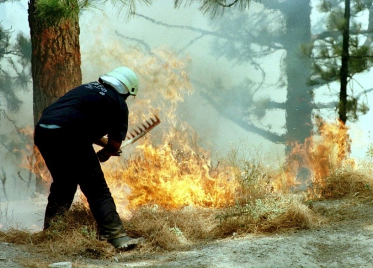 Forest fire out of control in Spain; 1,100 hectares destroyed