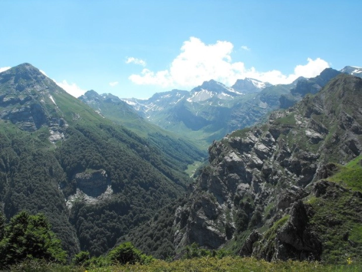 UNESCO adds beech forest within Mavrovo National Park to World Heritage List