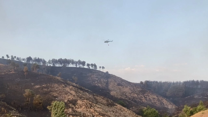 Army helicopters put Kostin Dol wildfire under control