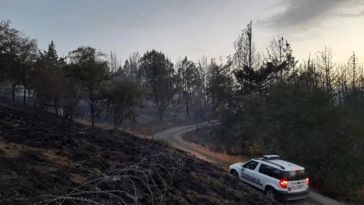 Nine wildfires active in North Macedonia, situation most critical in Staro Nagorichane