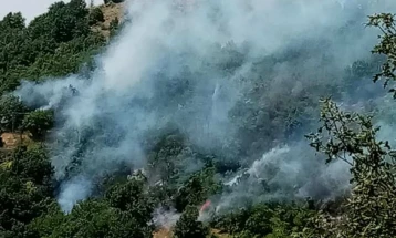 Kostin Dol wildfire near Kochani partly contained