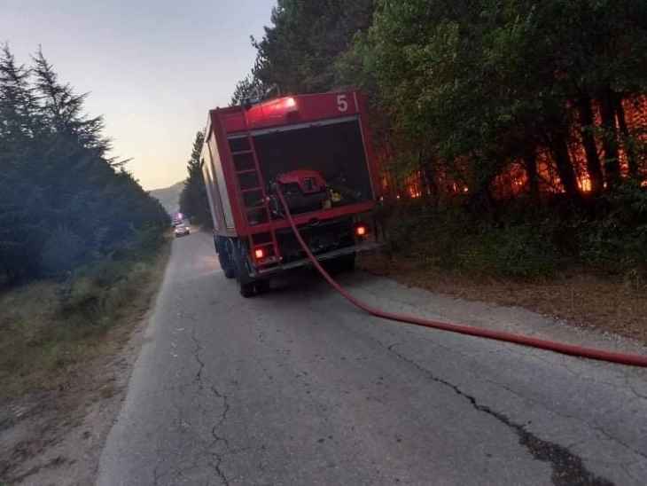 Team of Bulgarian firefighters set to arrive in Pehchevo