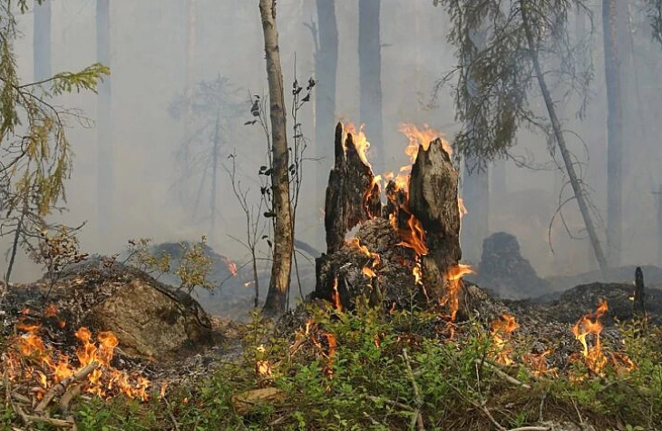 Three fires currently active in North Macedonia