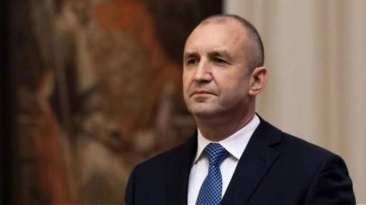 Bulgarian president Radev, German counterpart Steinmeier discuss dialogue between Bulgaria and North Macedonia