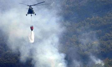 Forest fire damage estimated at nearly EUR 38 million
