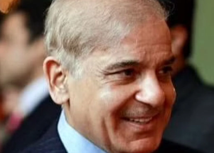 Shehbaz Sharif elected Pakistan's new PM but political chaos endures