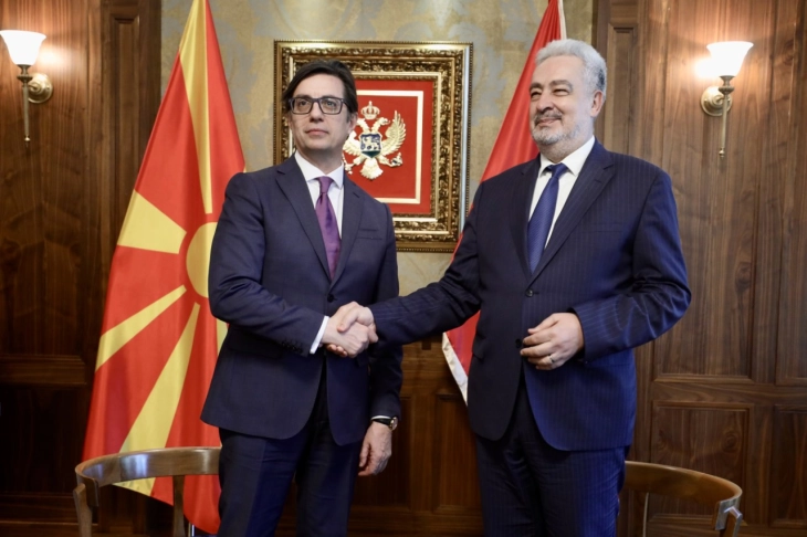 President Pendarovski meets Montenegrin PM Krivokapić