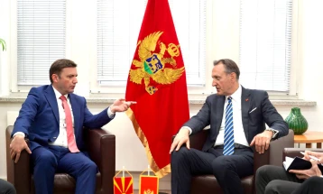 FM Osmani meets his Montenegrin counterpart Krivokapic in Berlin