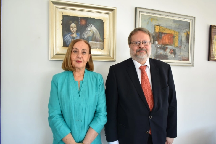 Constitutional Court president meets Spanish Ambassador