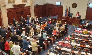 Parliament passes SDSM-DUI conclusions on French proposal 