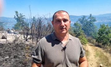 Maleshevo region fire expected to be under full control by end of the day, says Angelov