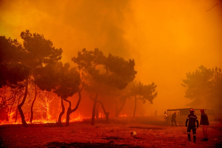 Major fires continue to sweep through north-eastern Greece and Lesbos