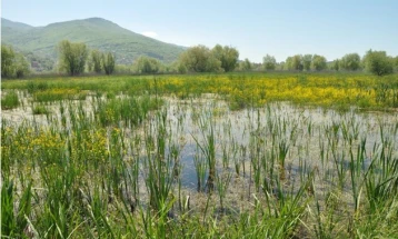 Government approves draft-law on declaring Studenchishko Blato a protected area