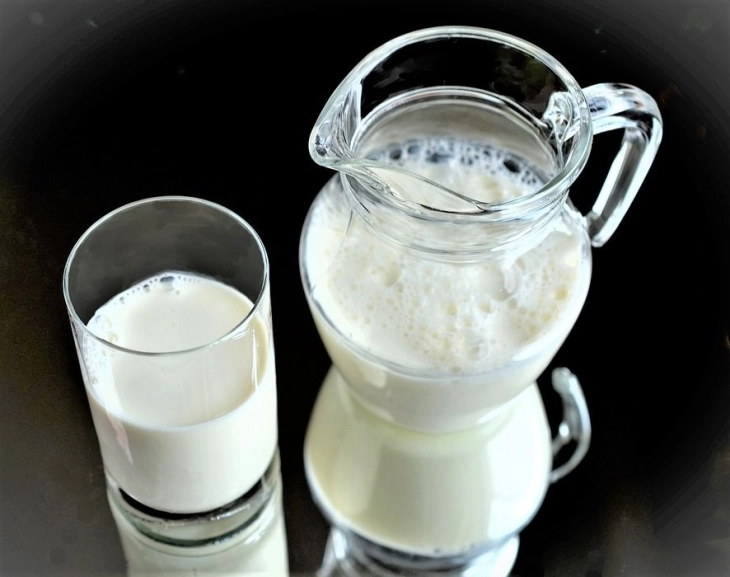 Serbia extends export ban for milk and dairy products, North Macedonia exempted