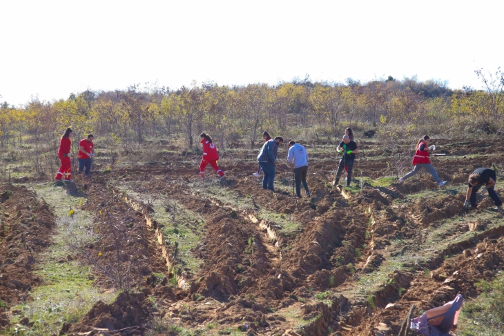 Трибенкс ќе засадат 7 000 дрвца на локации во Ајватовци, Скопско и во беровското село Будинарци