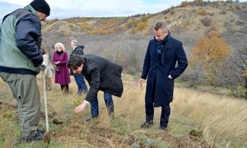 Британската амбасада во Скопје покрена иницијатива „Засади дрво за јубилејот“ за одбележување на 70. Платинест јубилеј на Кралицата Елизабета Втора