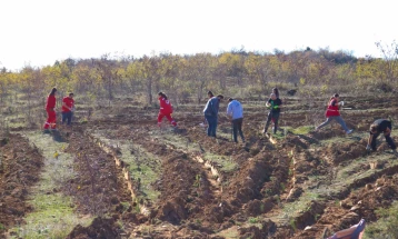Во скопско Ајватовци ќе бидат засадени 2000 дрвца
