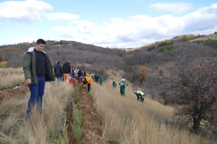Засадени 2000 садници во населено место Ајватовци во рамки на проектот „Зелена Општина Илинден“