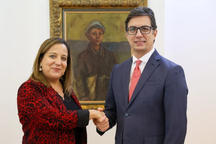 President Pendarovski meets MEP García Pérez
