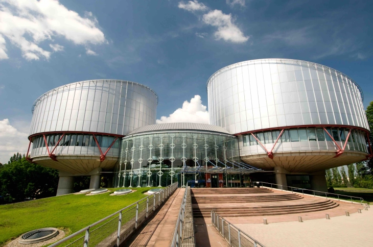Судот во Стразбур одлучи дека може да постапи по барањата на Холандија и Украина против Русија