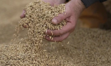 Government endorses changes to include rice in commodity reserves