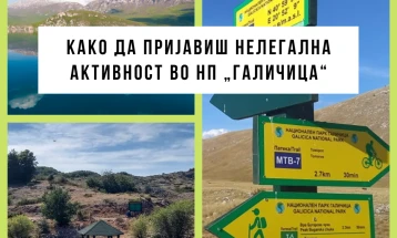 Дел од вработените во Националниот парк „Галичица“ предупредуваат на недоследности во работењето на Јавната установа и политички притисоци