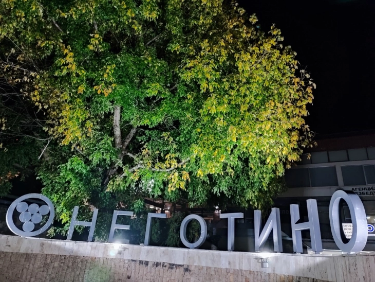 Откажани денешните настани од ,,Недела на виното