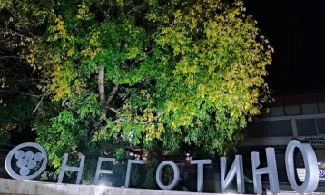 Откажани денешните настани од ,,Недела на виното