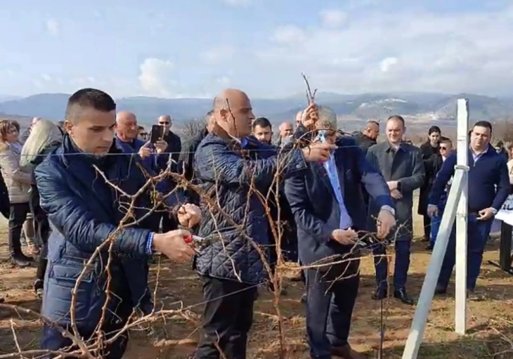 Премиерот Ковачевски и министерот Николовски на закројување на лозје во село Ресава