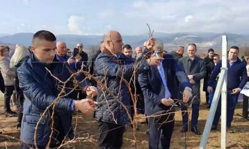 Премиерот Ковачевски и министерот Николовски на закројување на лозје во село Ресава