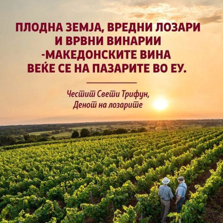Маричиќ: Македонските вина веќе се на пазарите на ЕУ, честит Ден на лозарите