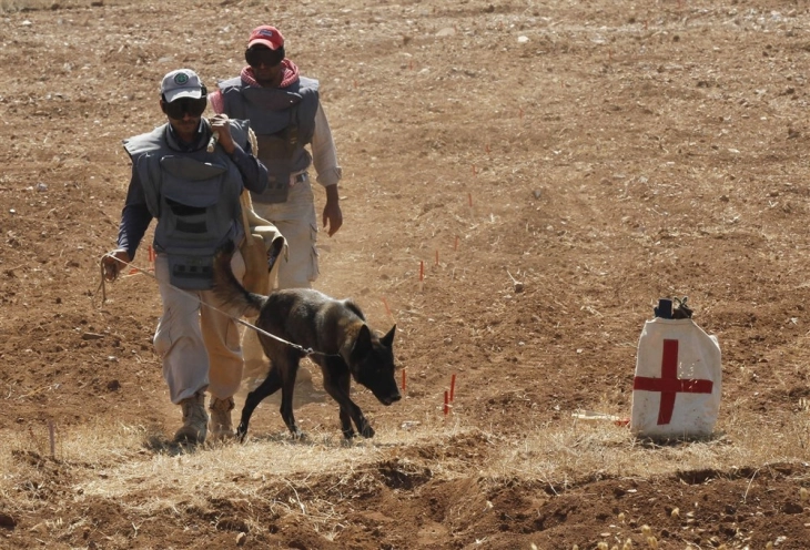Dhjetë persona humbën jetën nga shpërthimi i minave në Sirinë qendrore