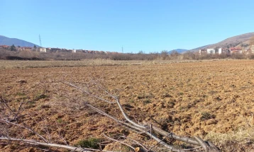 Пелагониските земјоделци ја подготвуваат почвата за сеидба на рани пролетни култури