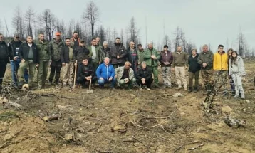 Во Пехчево реализирана акција за засадување дрвца кај локалитетот Св.Петка